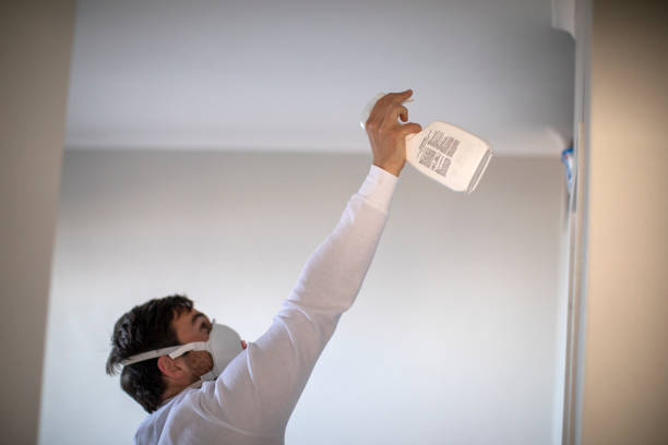 Best Professional Mold Removal  in St George, KS