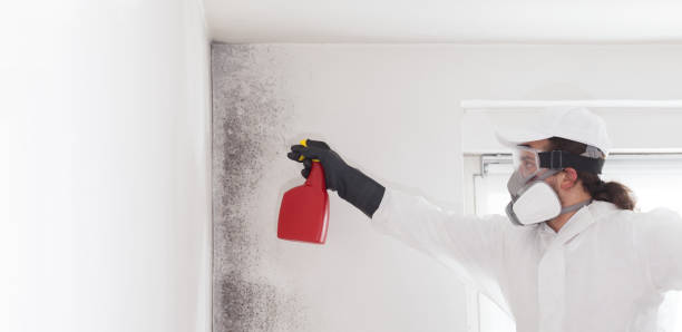 Best Crawl Space Mold Removal  in St George, KS